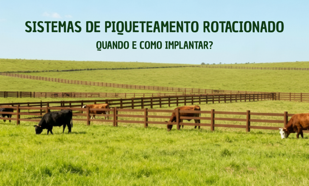 Sistemas de Piqueteamento Rotacionado: quando e como implantar?